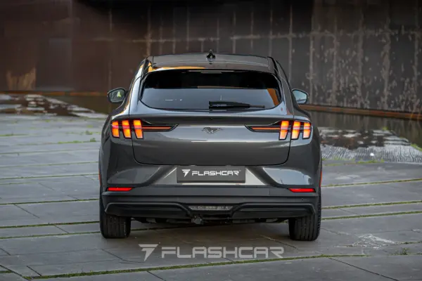 Ford Mustang Mach-E Standard 10