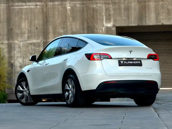 Tesla Model Y Long Range Dual Motor AWD 12