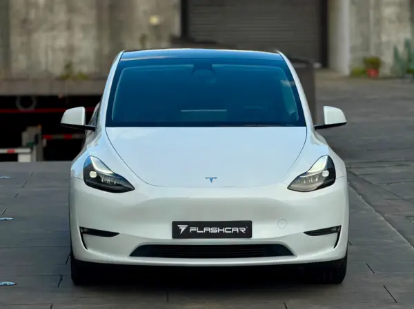 Tesla Model Y Long Range Dual Motor AWD 14