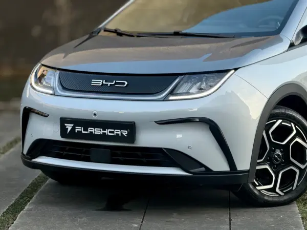 BYD Dolphin Design 9
