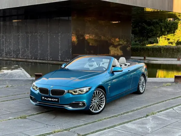 BMW 420 d Line Luxury 46