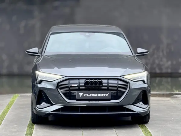 Audi e-tron Sportback 55 quattro S line 24