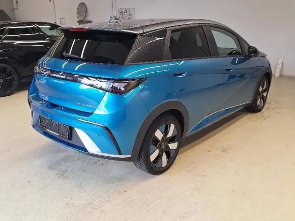BYD Dolphin Design 9