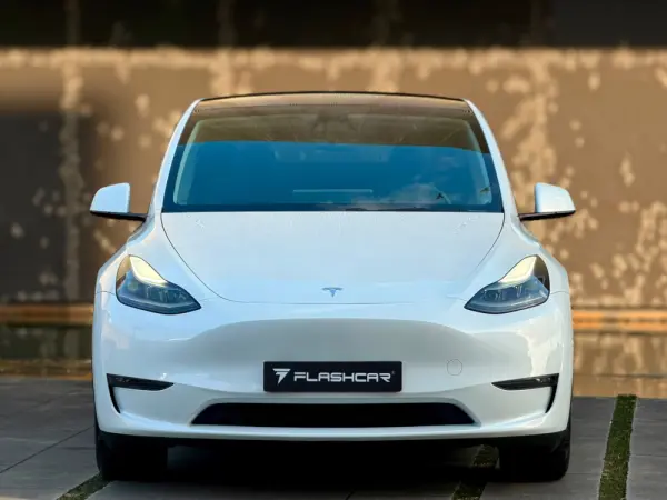 Tesla Model Y Long Range Dual Motor AWD 20