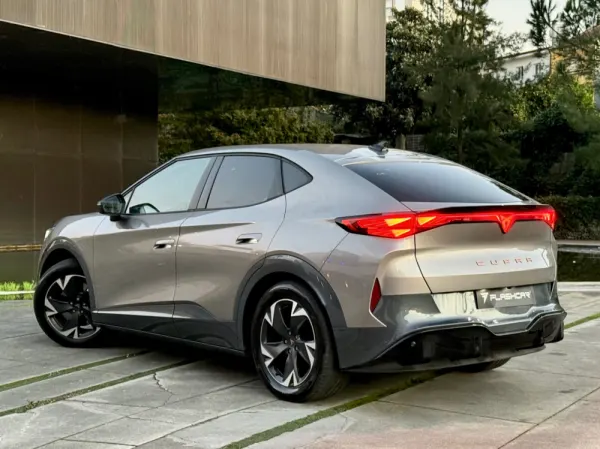 Cupra Tavascan ENDURANCE 17