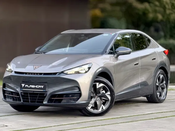 Cupra Tavascan ENDURANCE 6