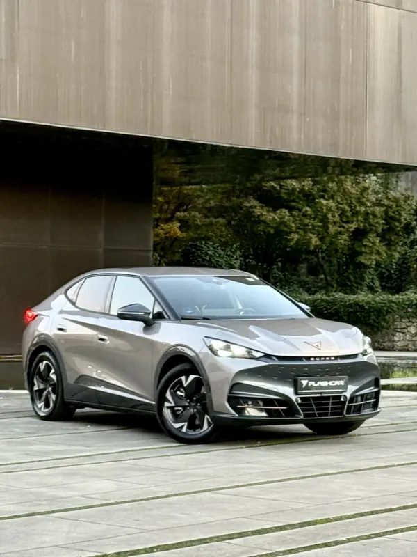 Cupra Tavascan ENDURANCE 3