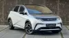 BYD Dolphin Design