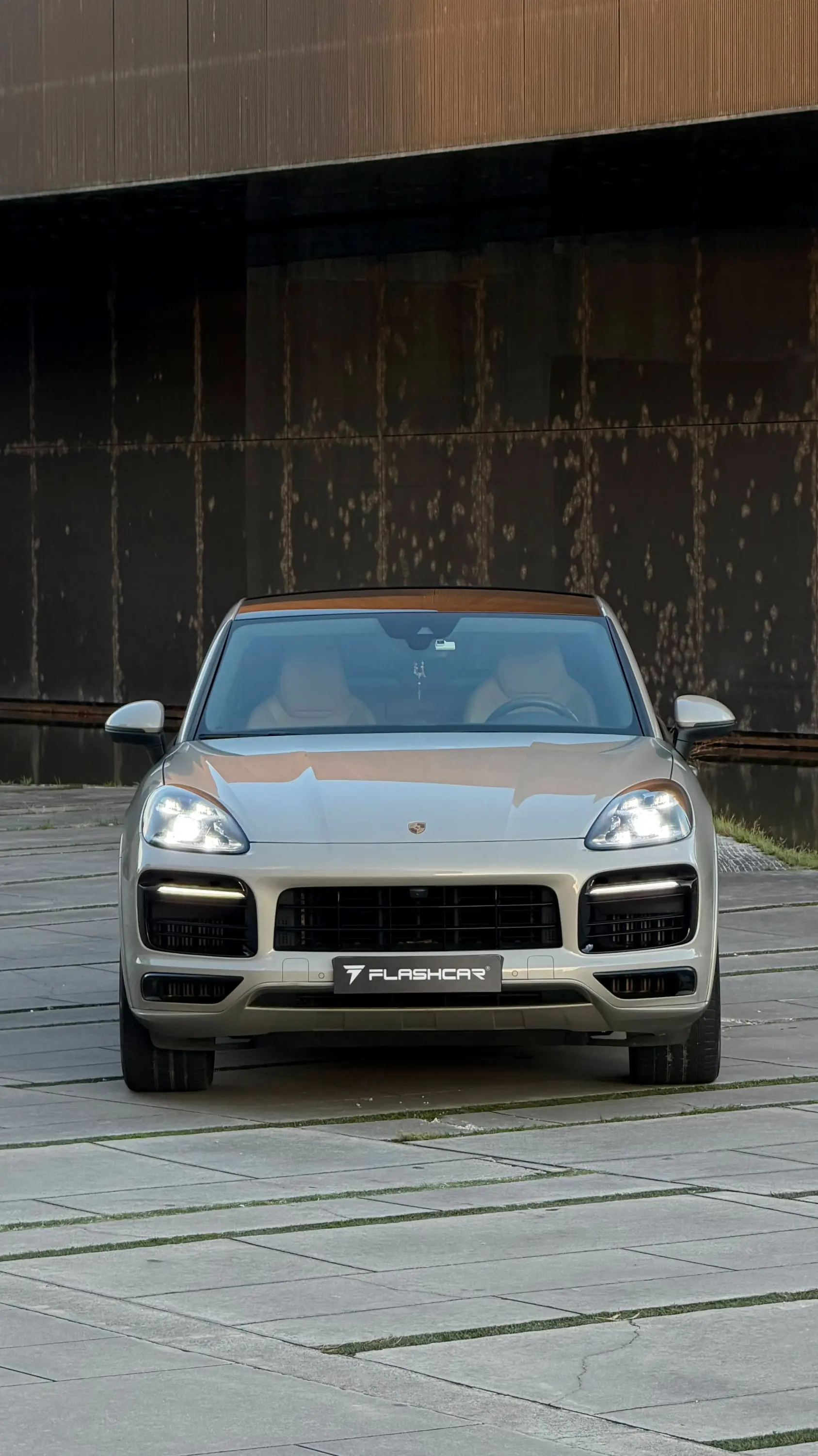 Porsche Cayenne Coupé E-Hybrid Platinum Edition 8