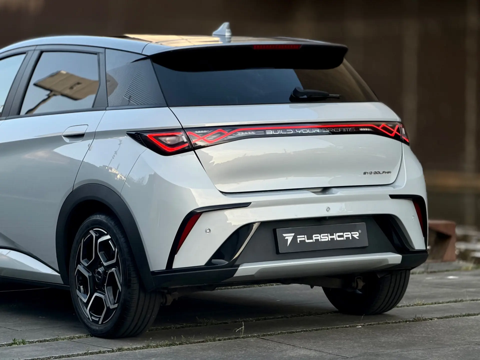 BYD Dolphin Design 10