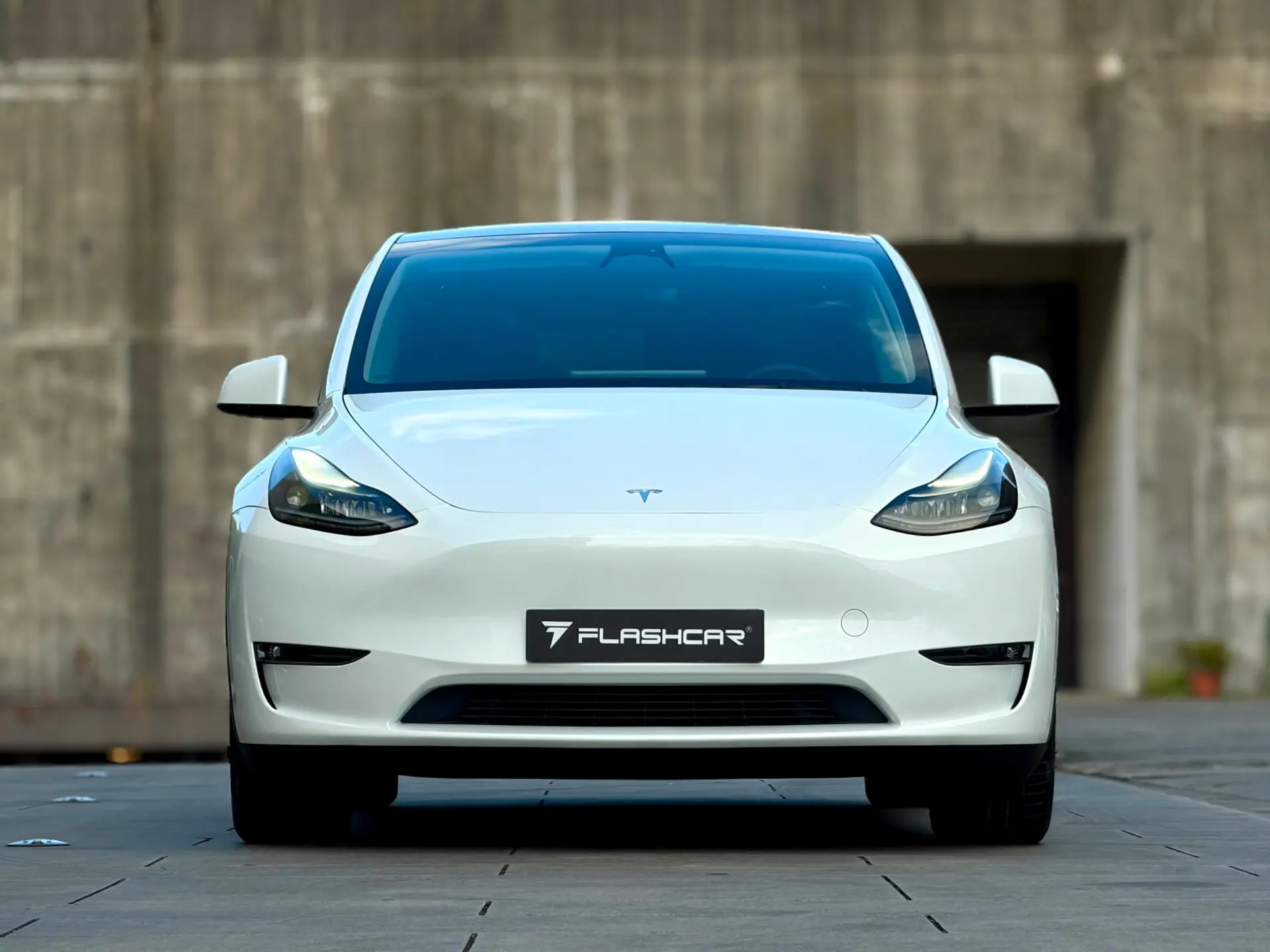 Tesla Model Y Long Range Dual Motor AWD 16