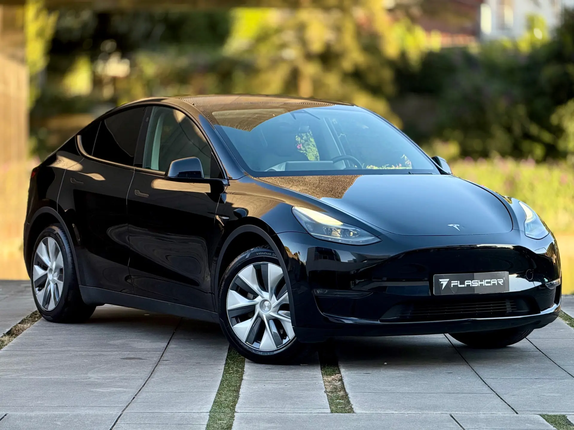 Tesla Model Y Long Range Dual Motor AWD 17