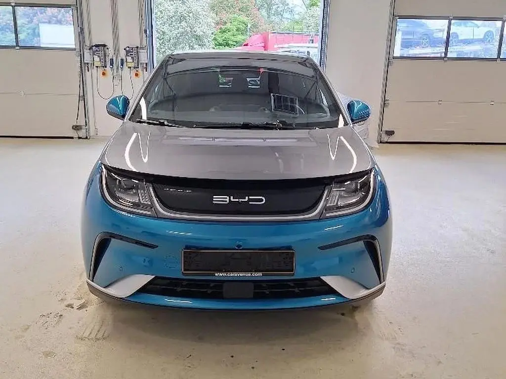 BYD Dolphin Design 10