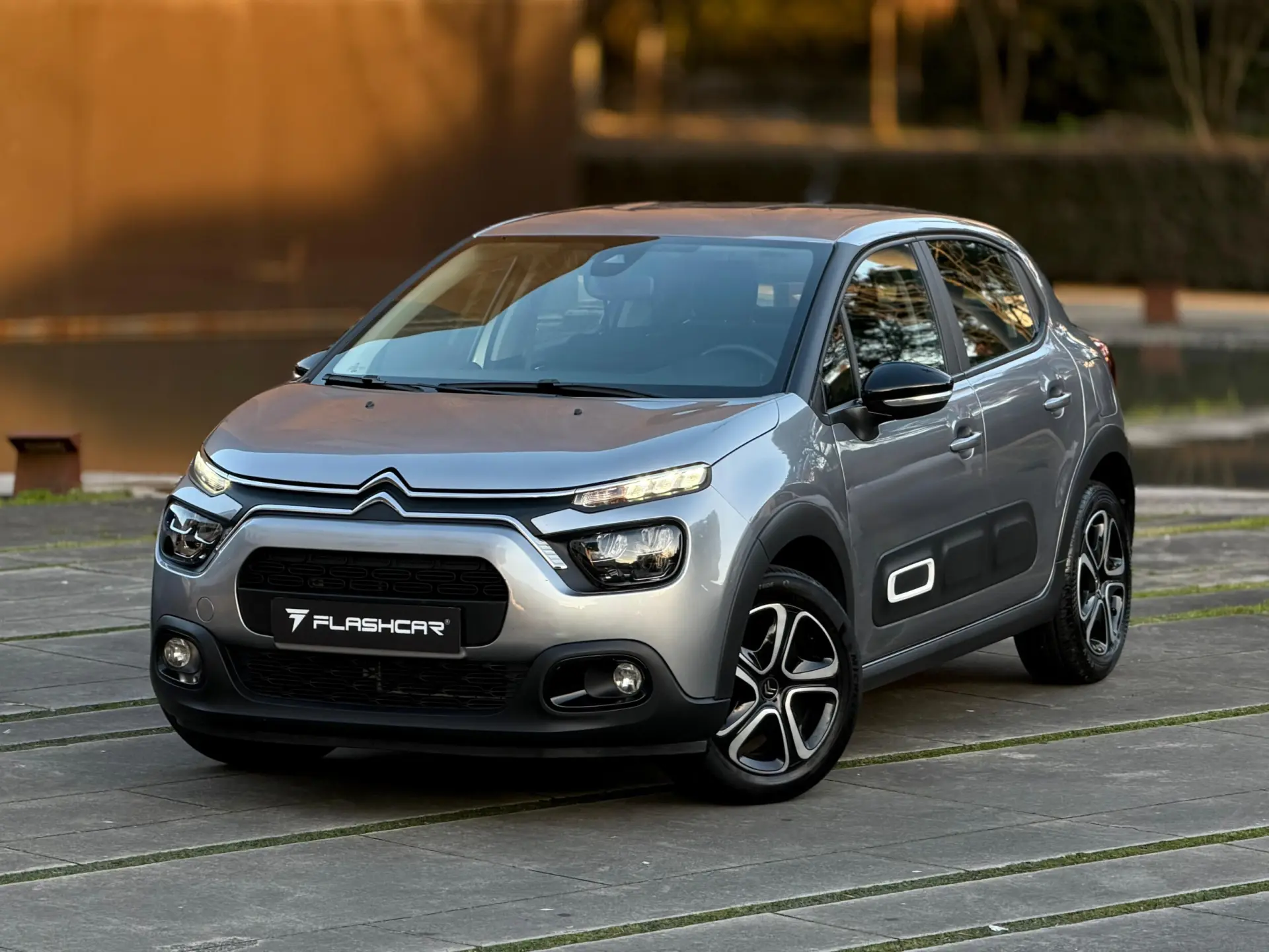 Citroën C3 Pure Tech S&S C-Series 17