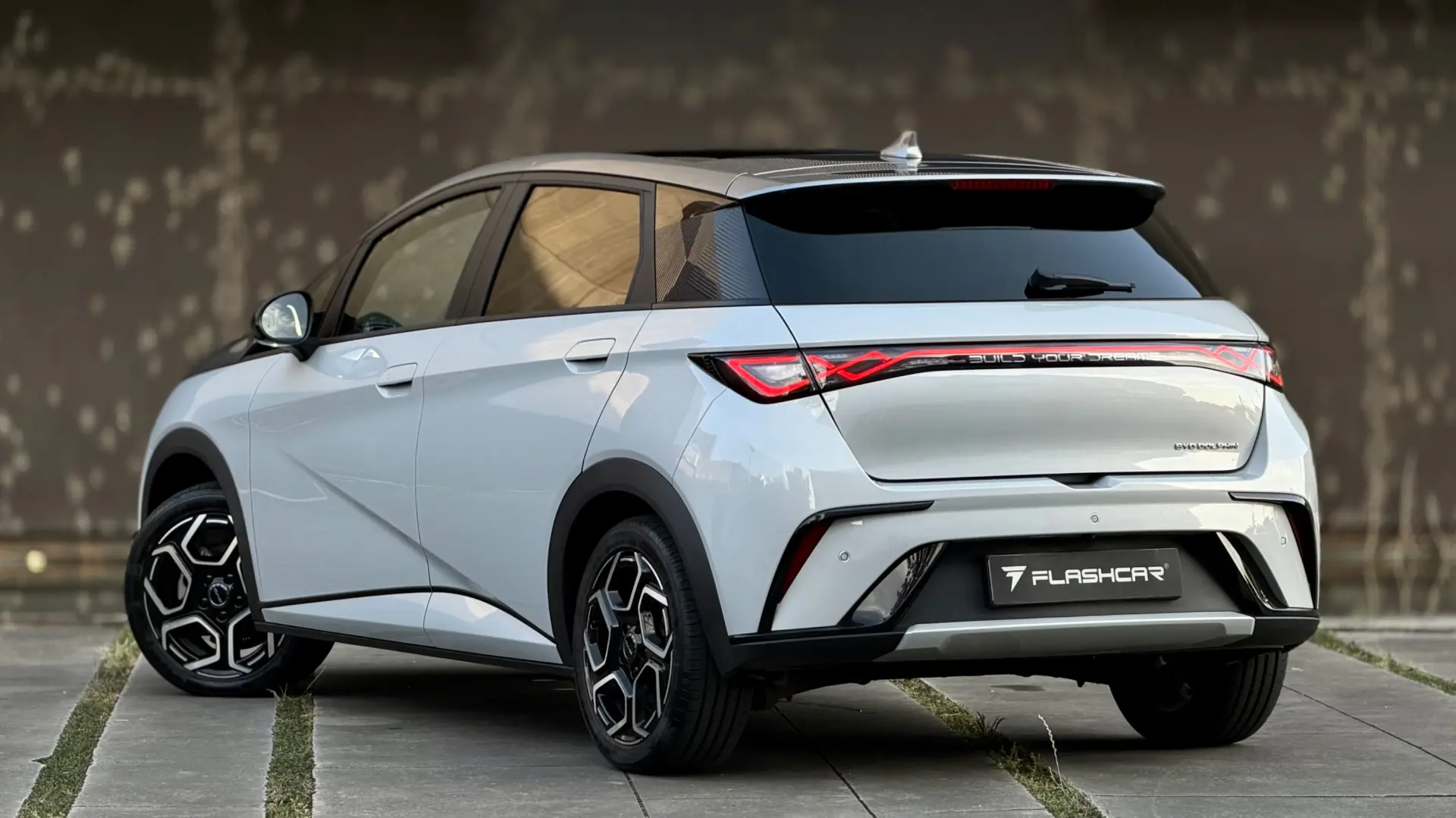 BYD Dolphin Design 2