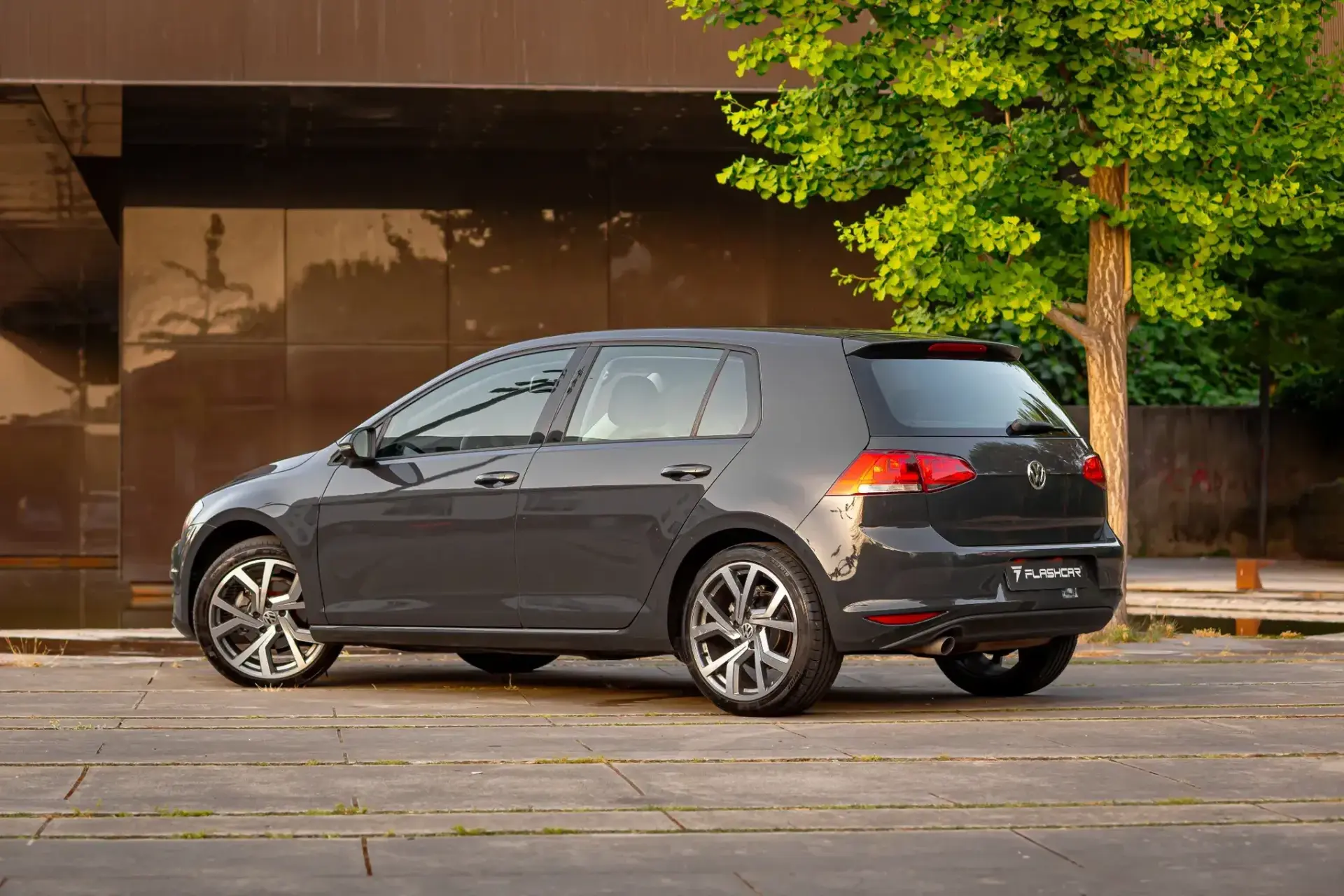 Volkswagen Golf 17