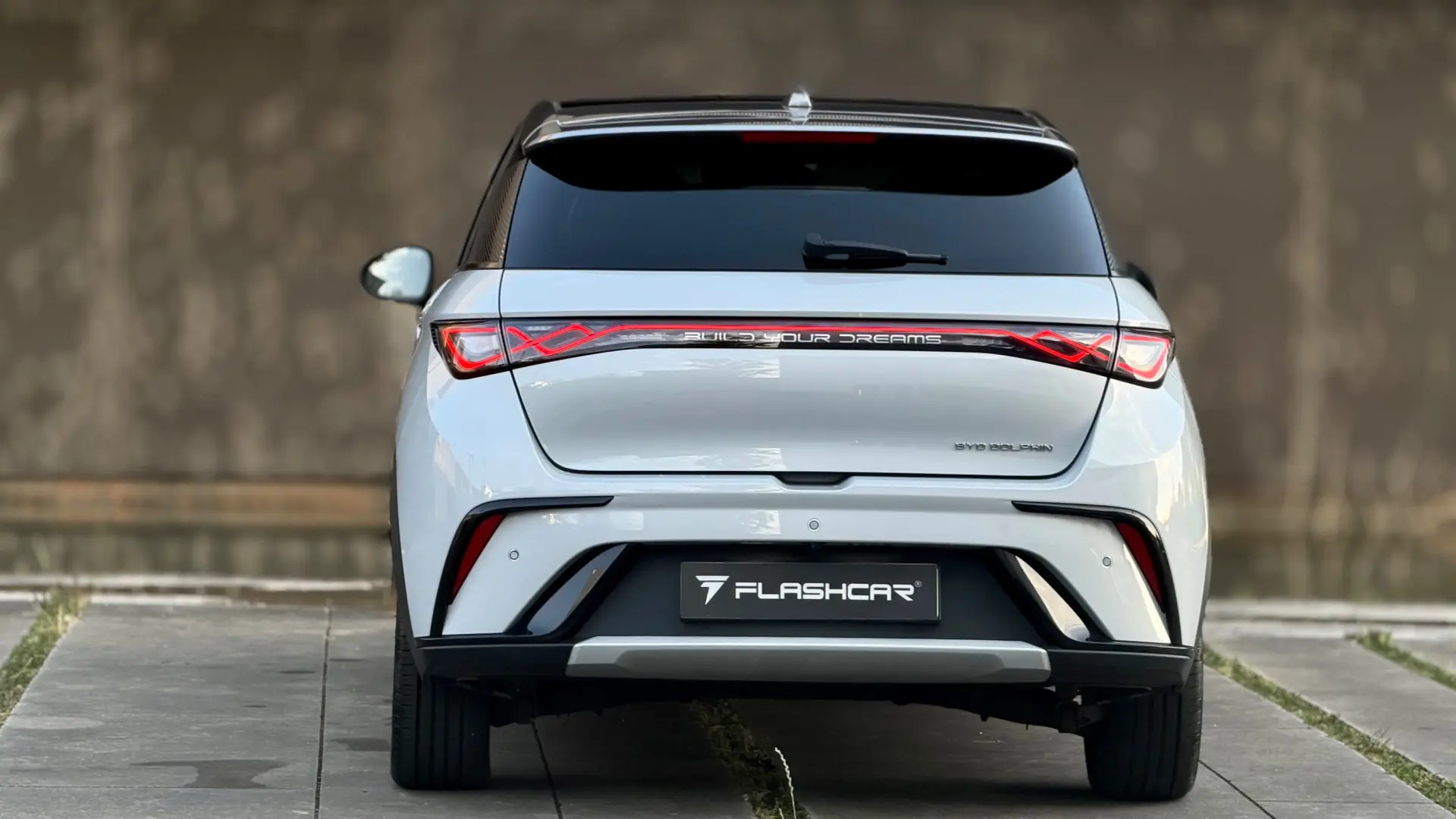BYD Dolphin Design 16