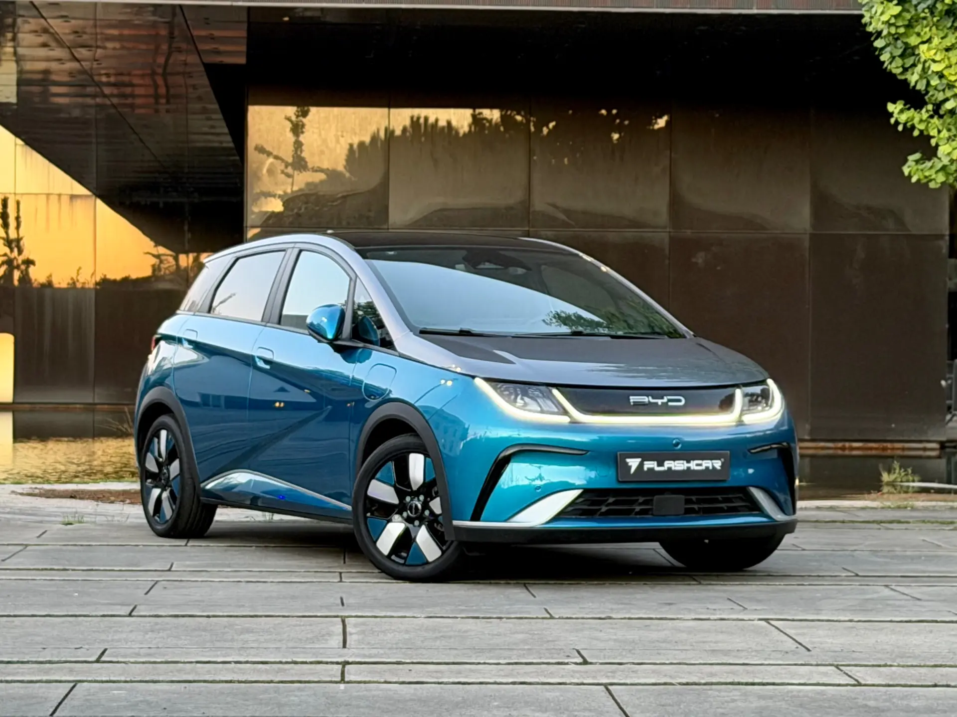 BYD Dolphin Design 1