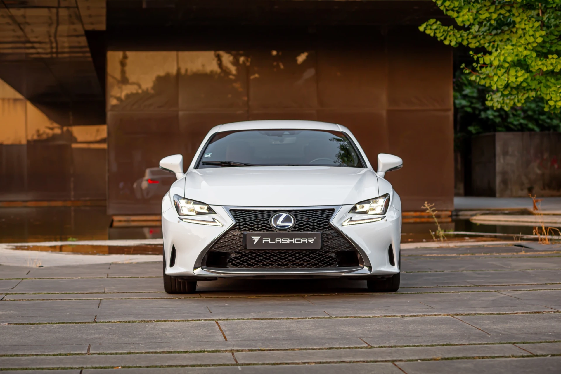Lexus RC 300h F Sport 41