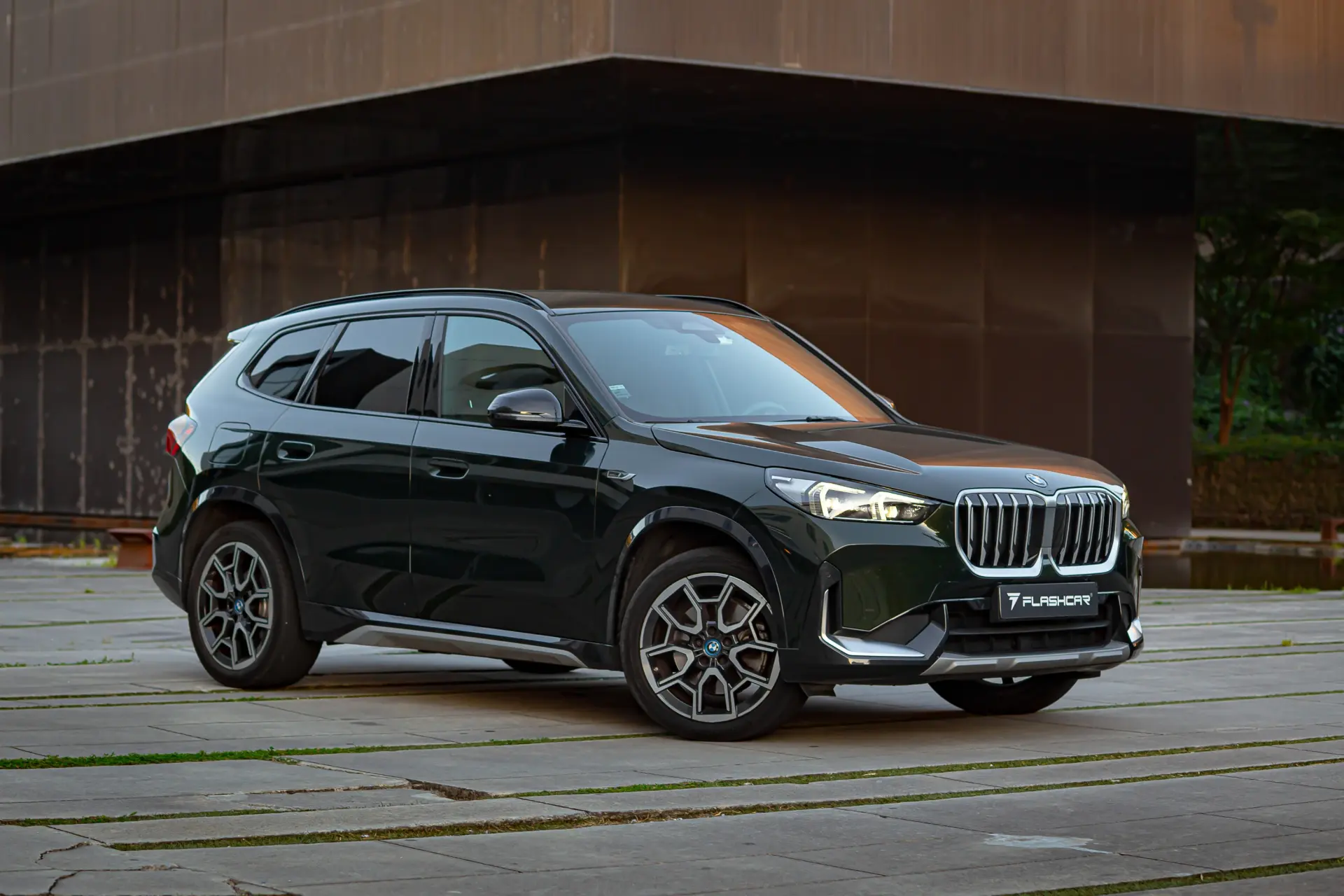 BMW X1 xDrive30e 1