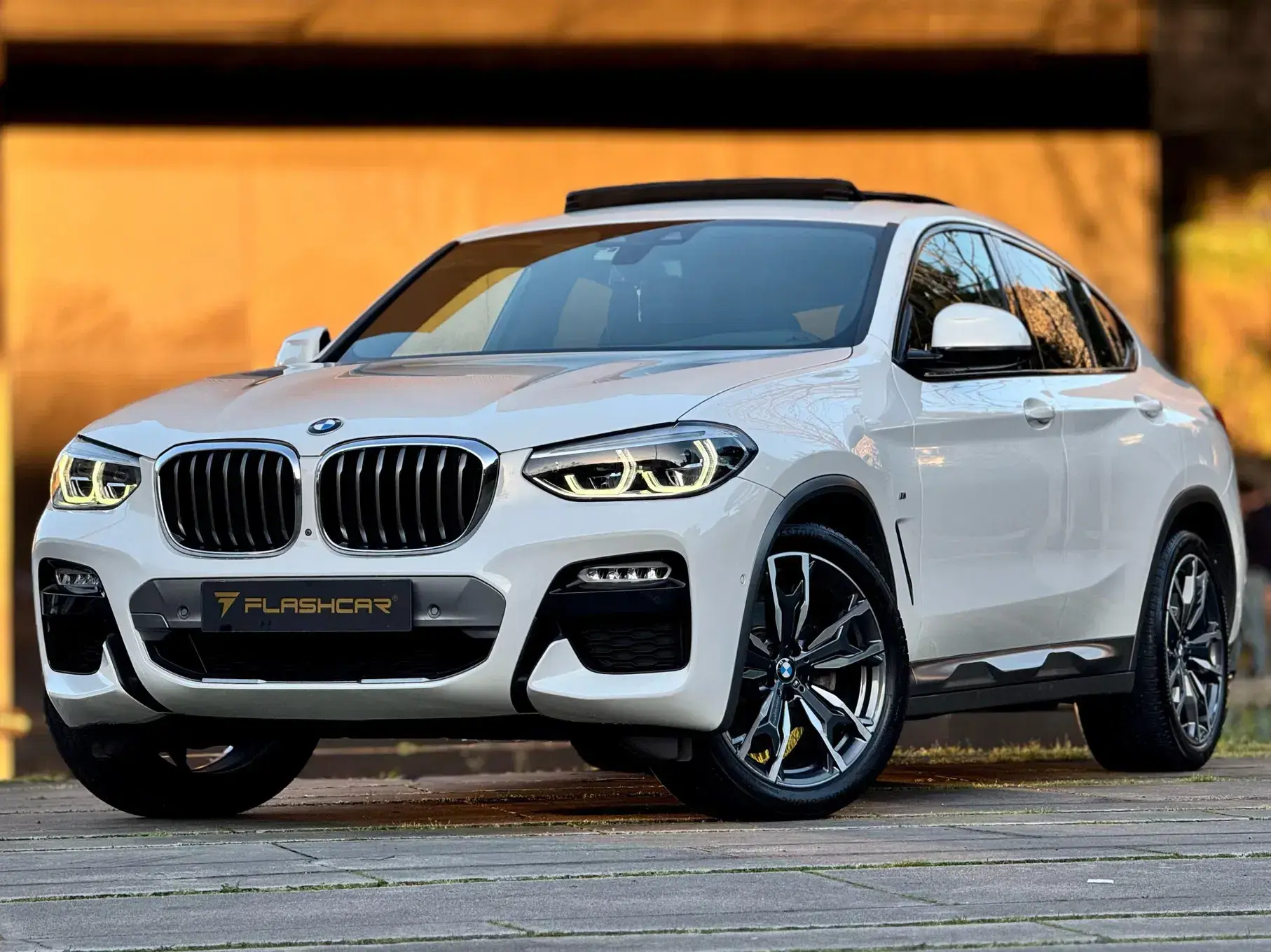 BMW X4 20 d xDrive xLine Pack M Auto 43