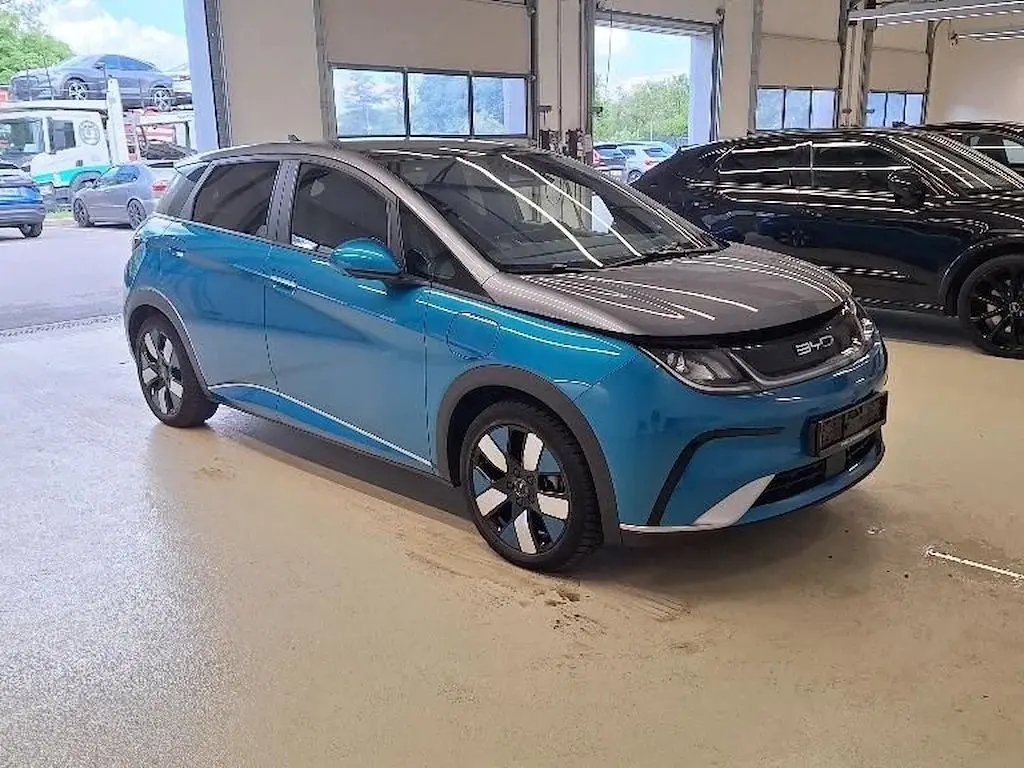 BYD Dolphin Design 1