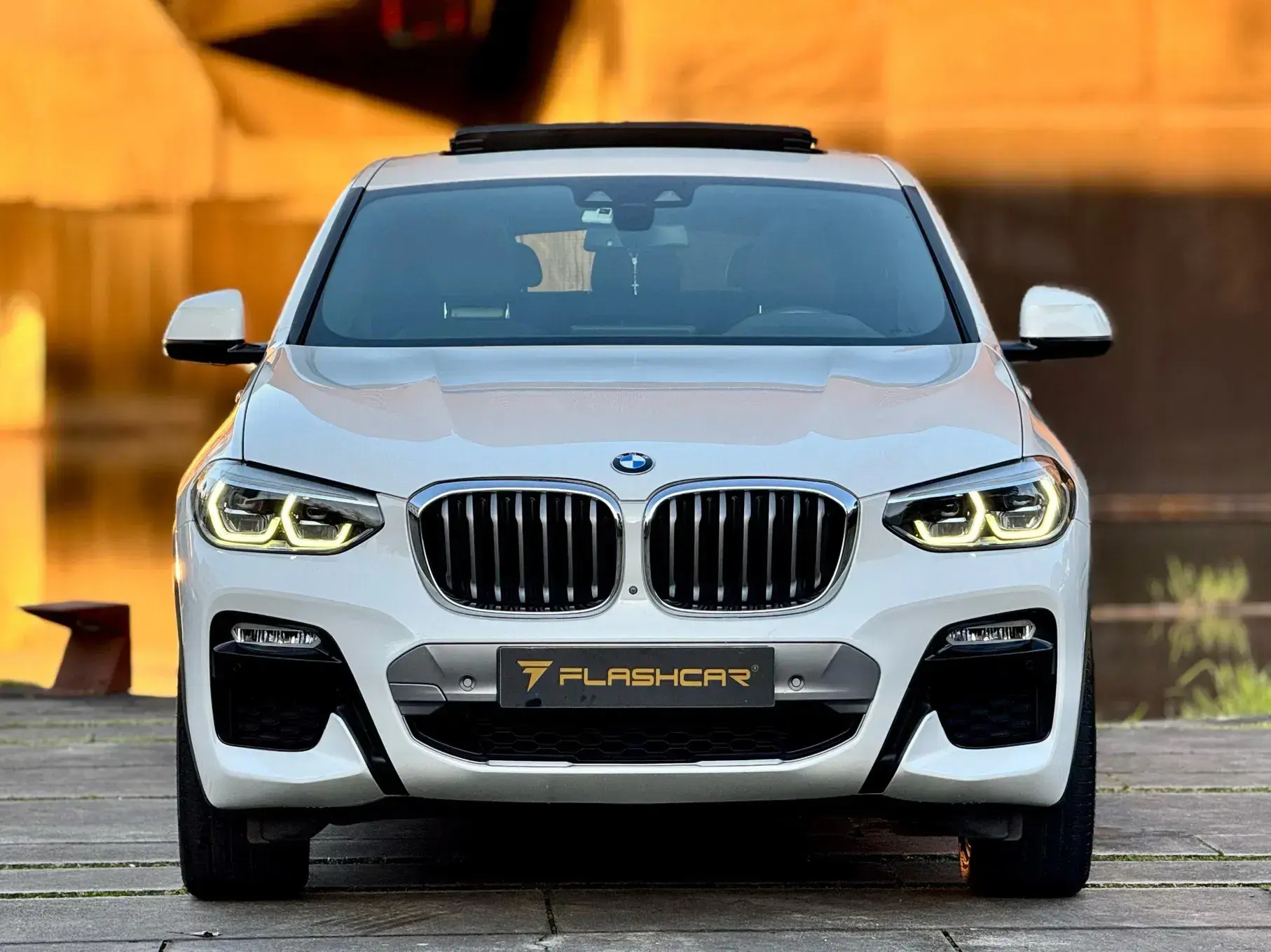 BMW X4 20 d xDrive xLine Pack M Auto 29