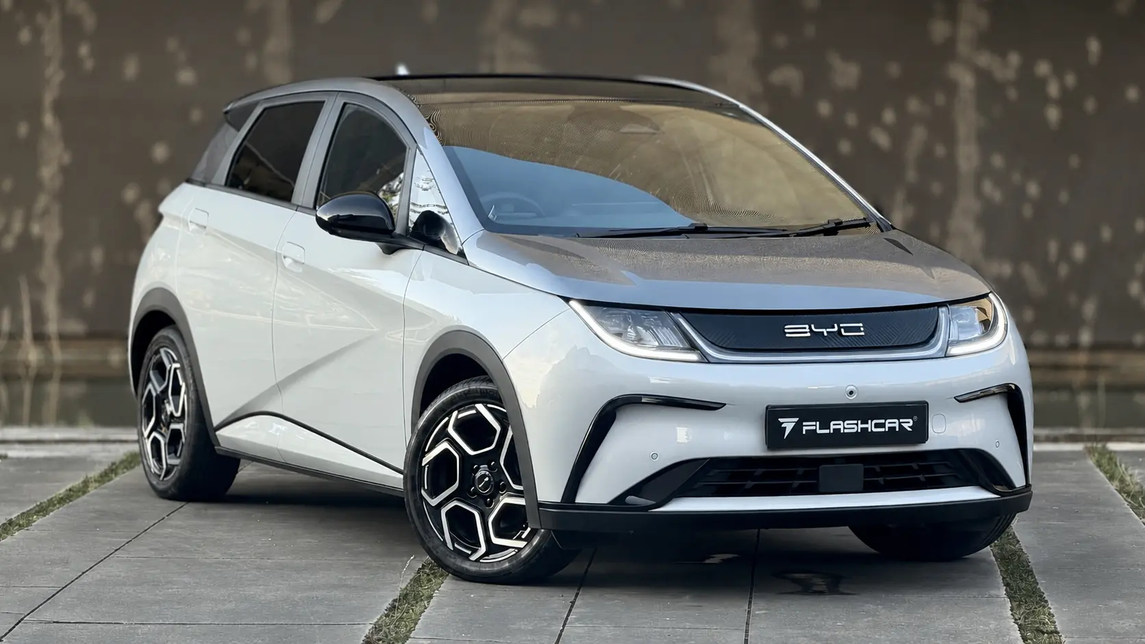 BYD Dolphin Design 1