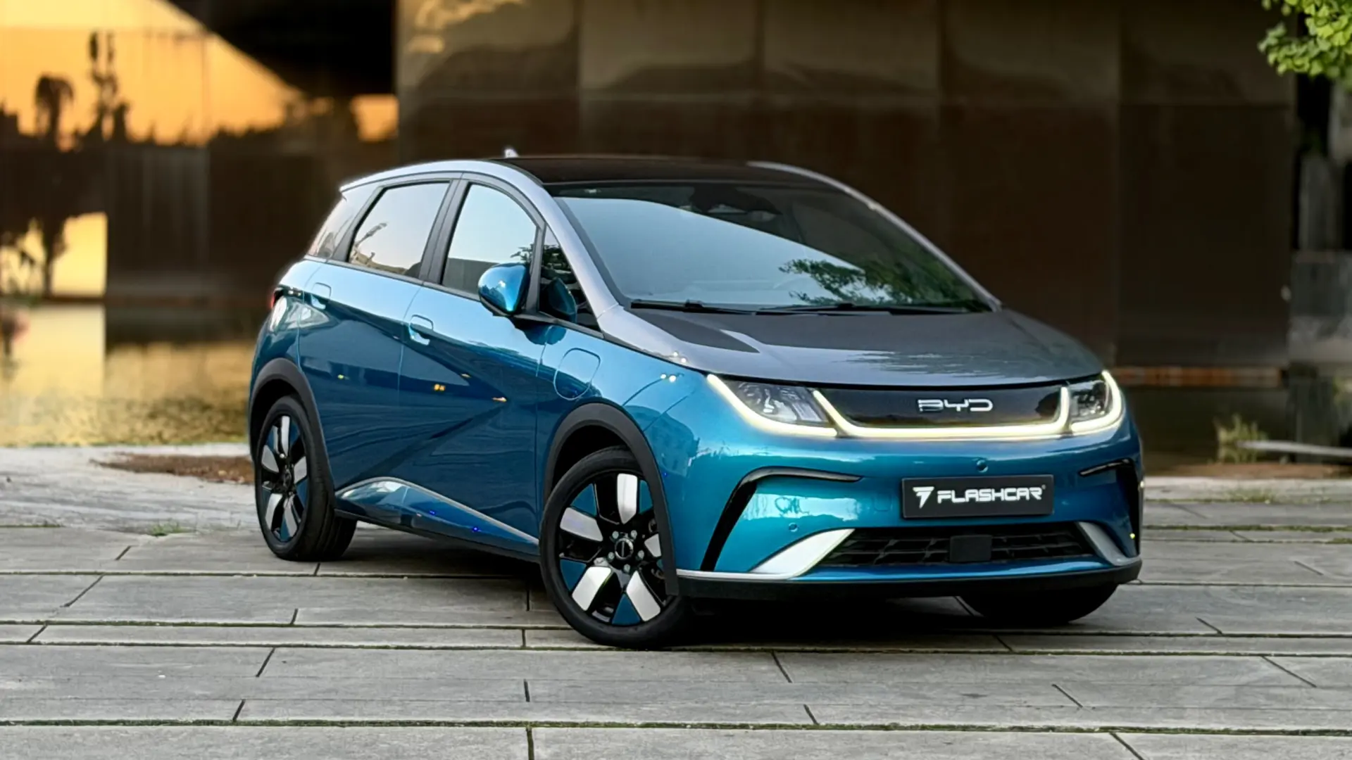 BYD Dolphin Design 19