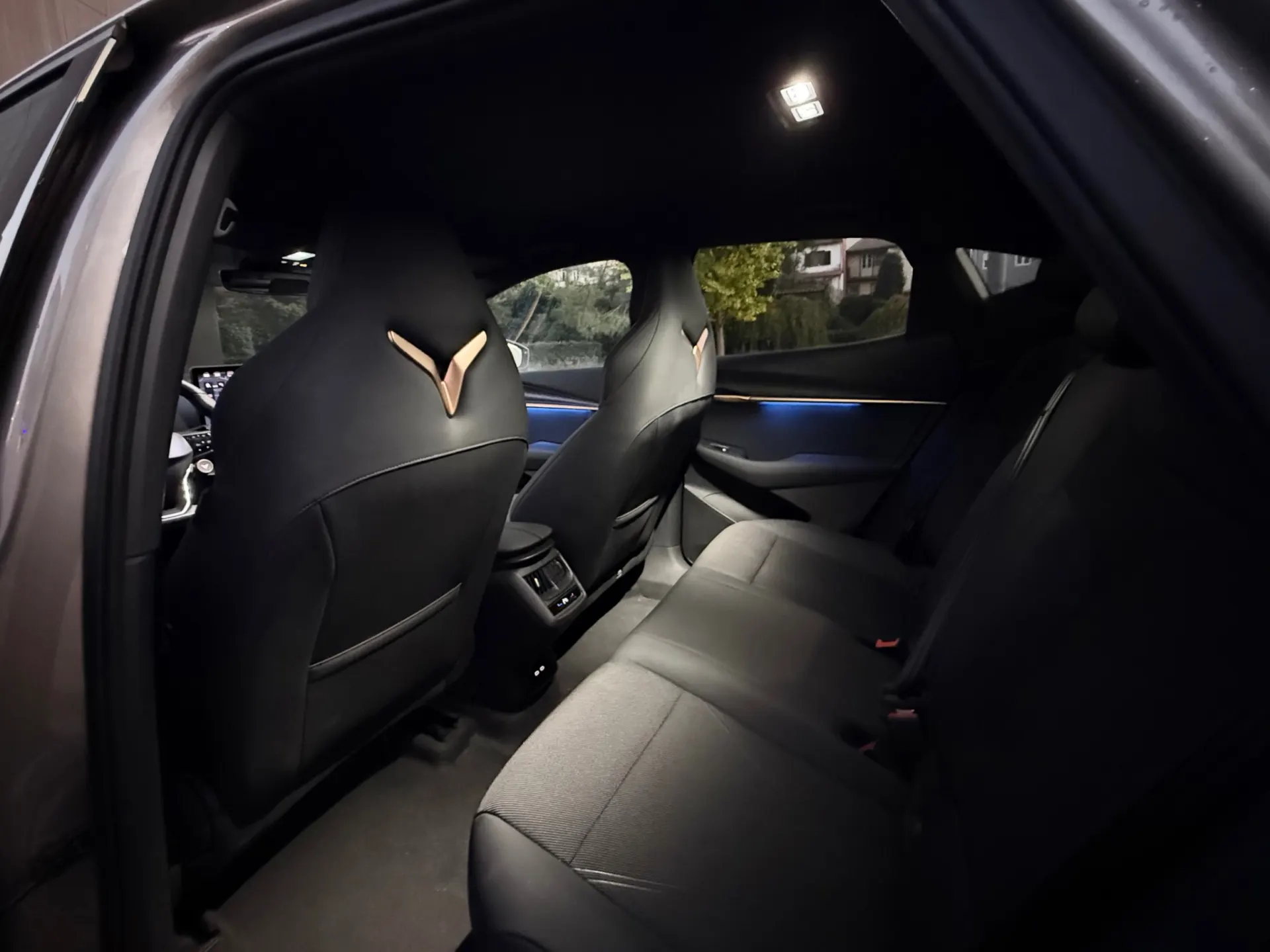 Cupra Tavascan ENDURANCE 18