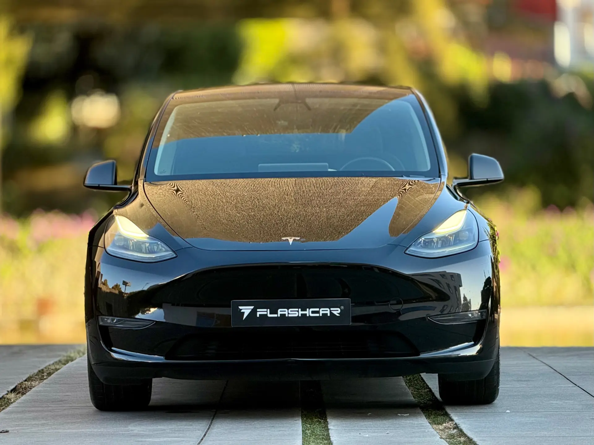 Tesla Model Y Long Range Dual Motor AWD 20