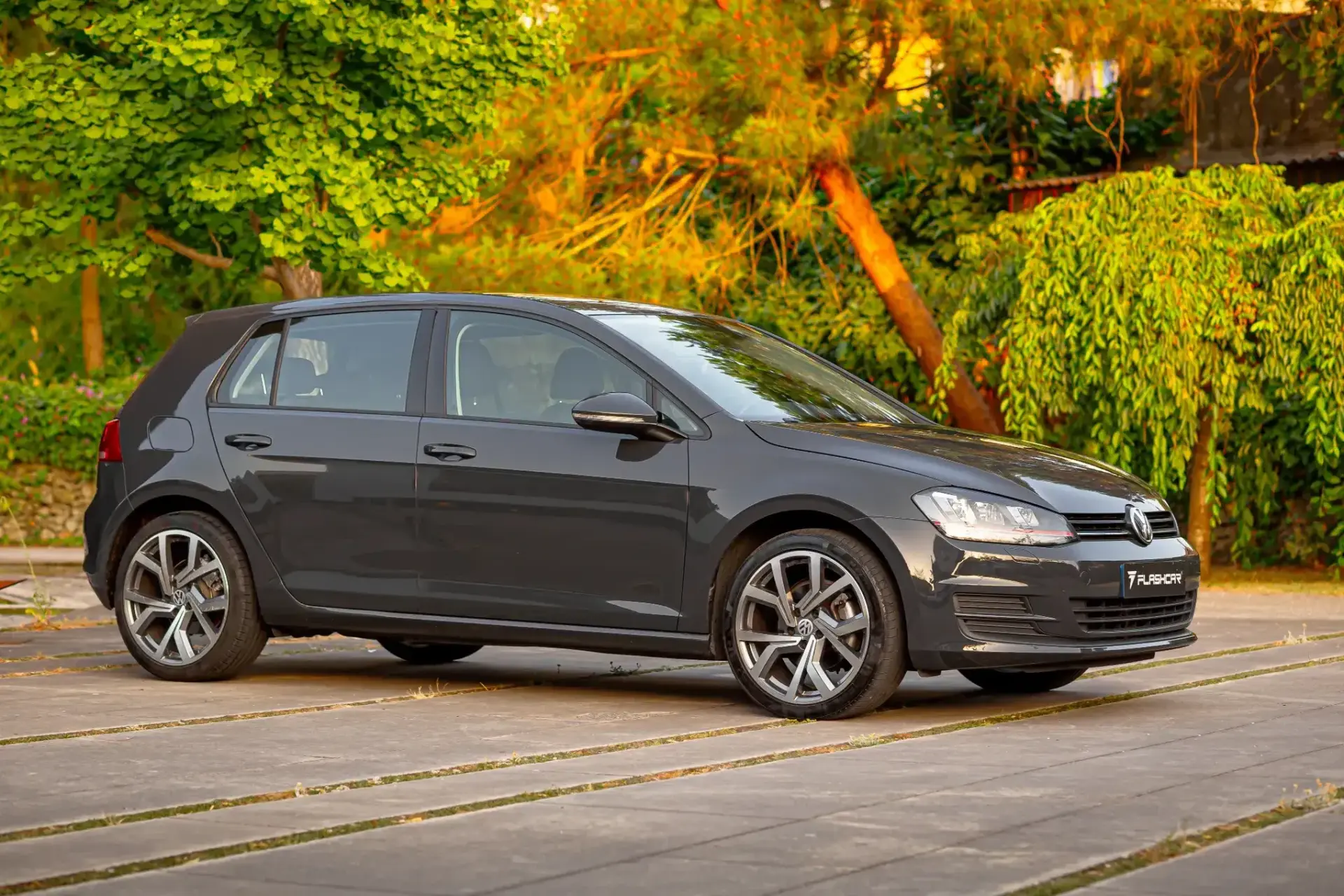 Volkswagen Golf 24