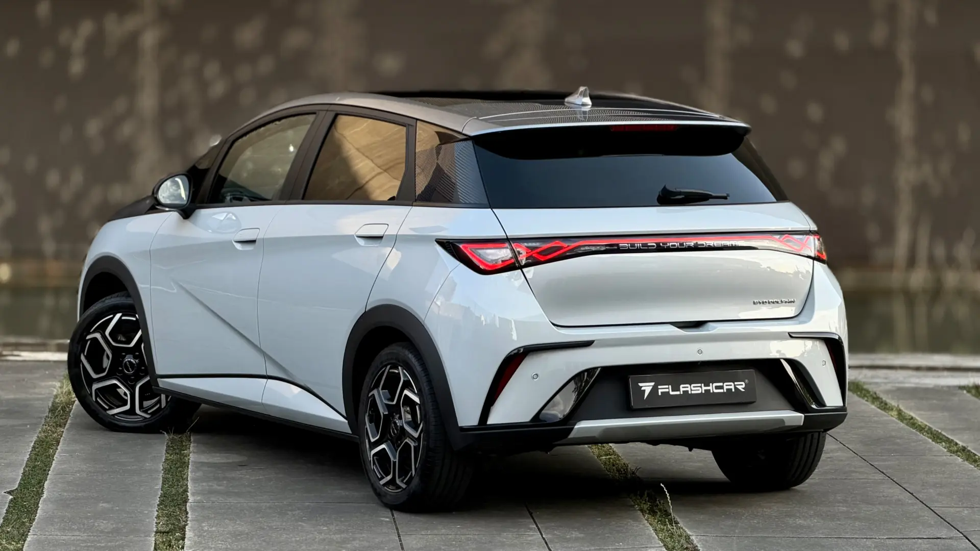 BYD Dolphin Design 5
