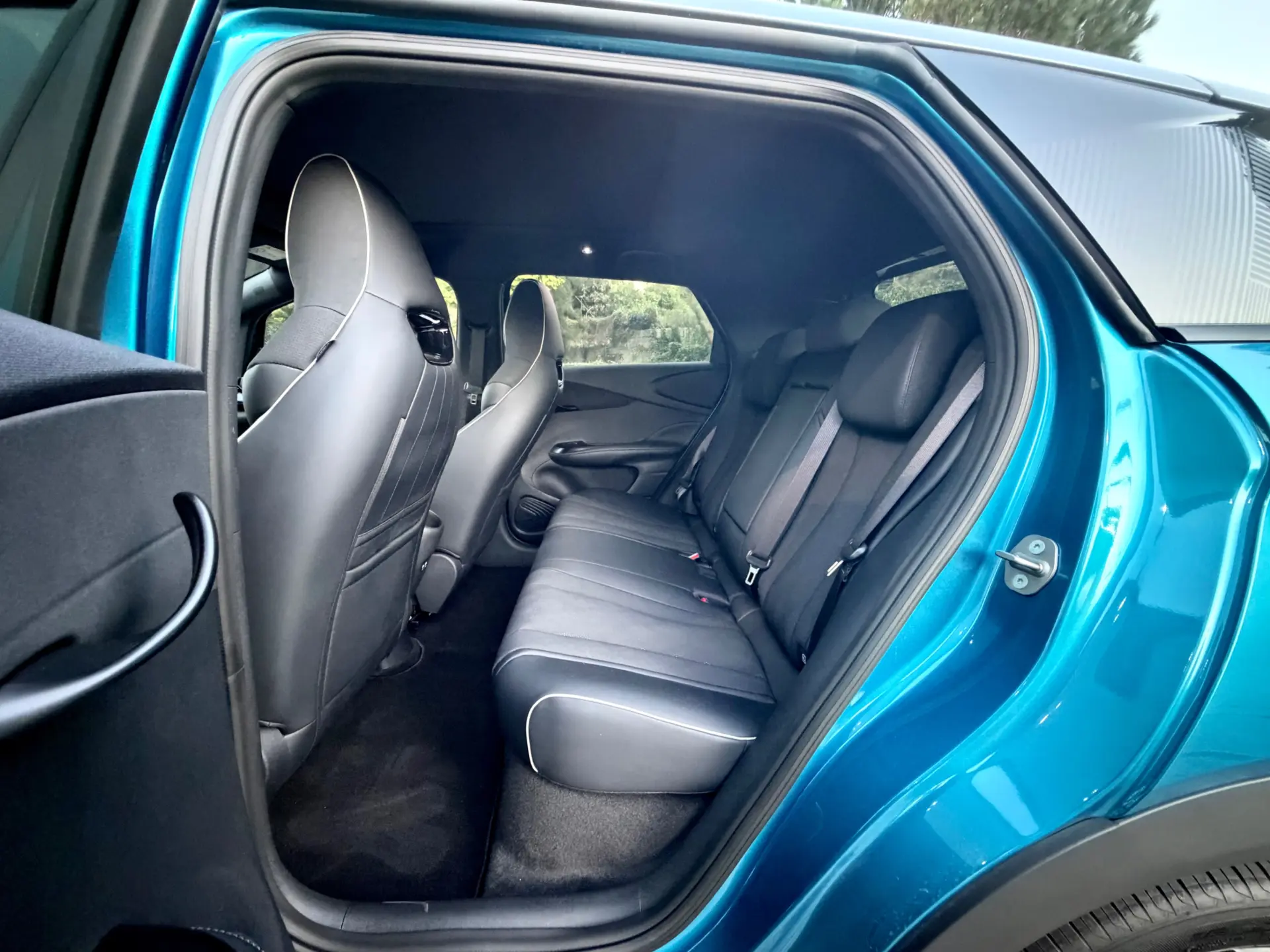 BYD Dolphin Design 12
