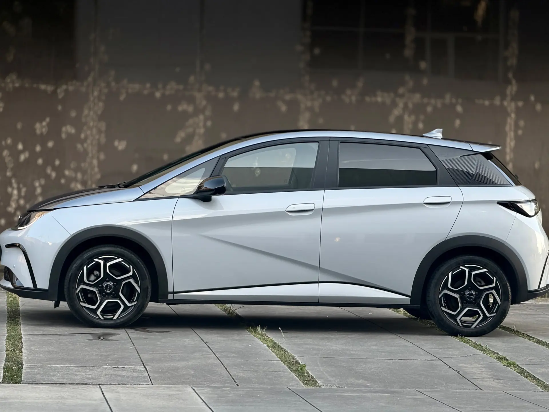 BYD Dolphin Design 10