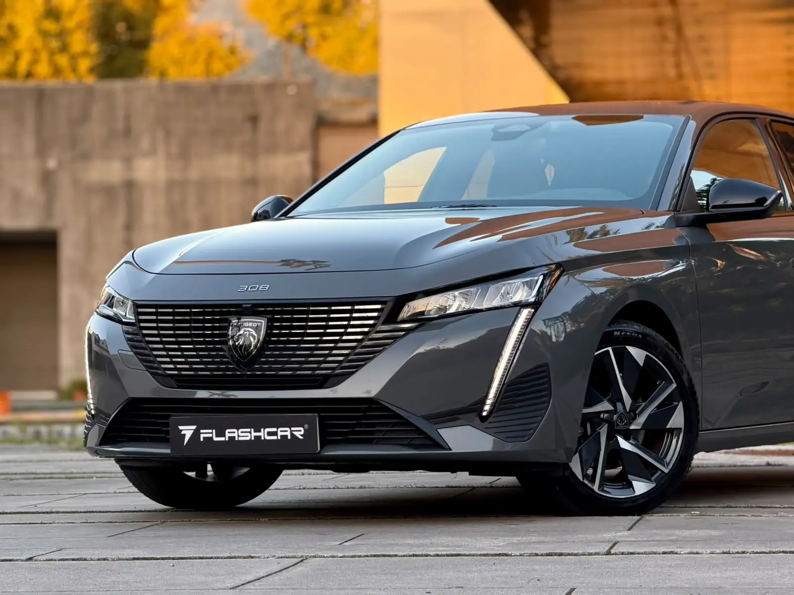 Peugeot 308 Allure Pack 27