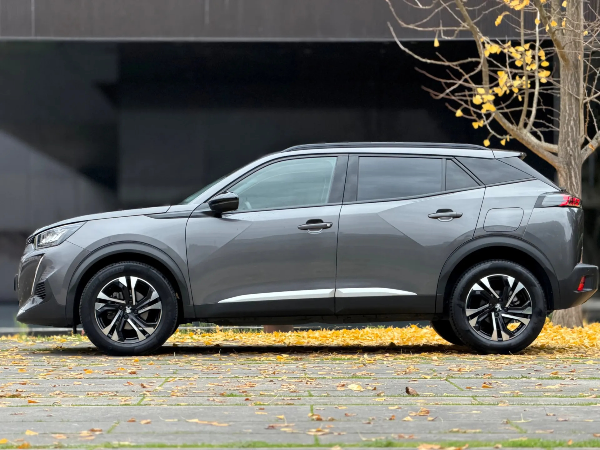 Peugeot 2008 1.2 PureTech Allure Pack 6