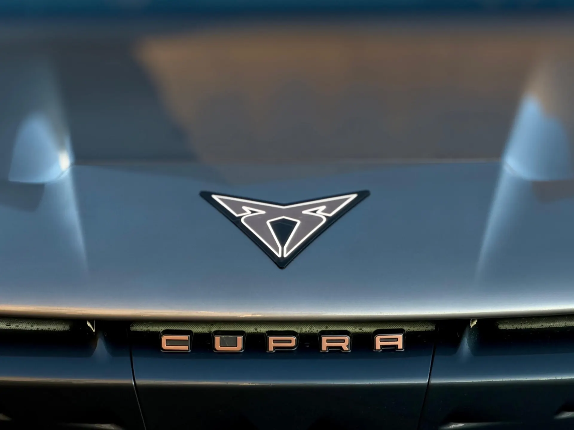 Cupra Tavascan ENDURANCE 6