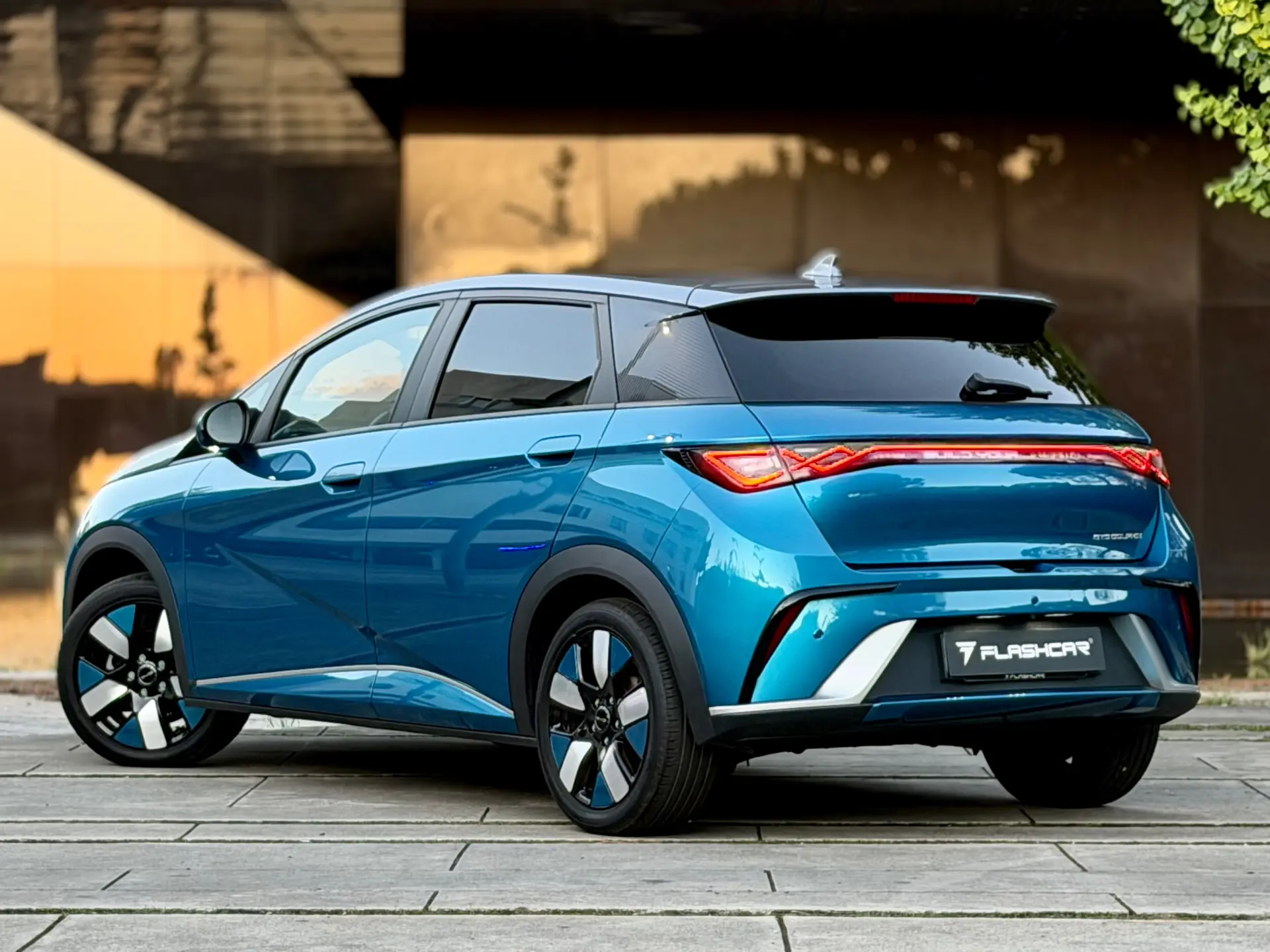 BYD Dolphin Design 11