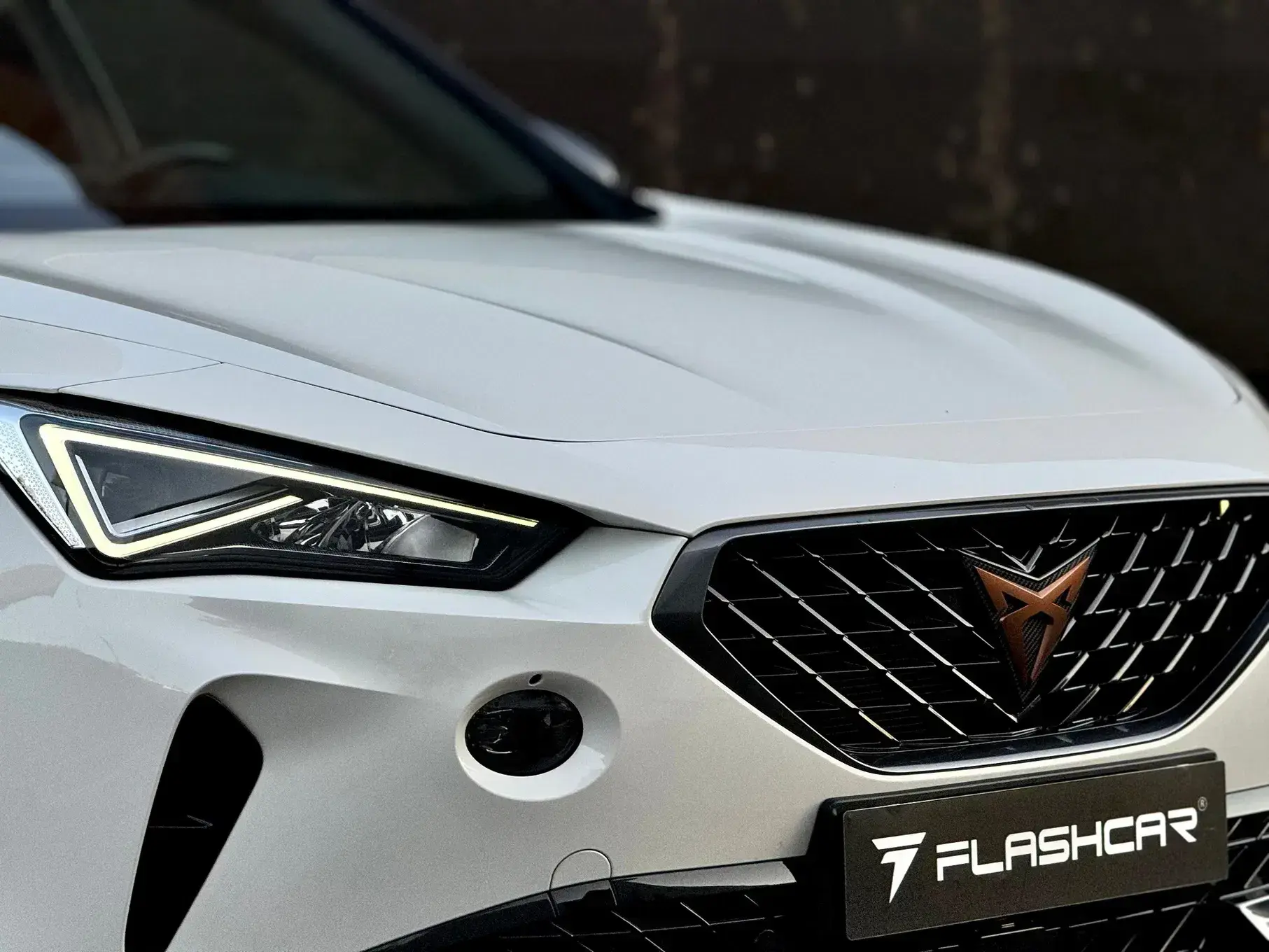 Cupra Formentor 19
