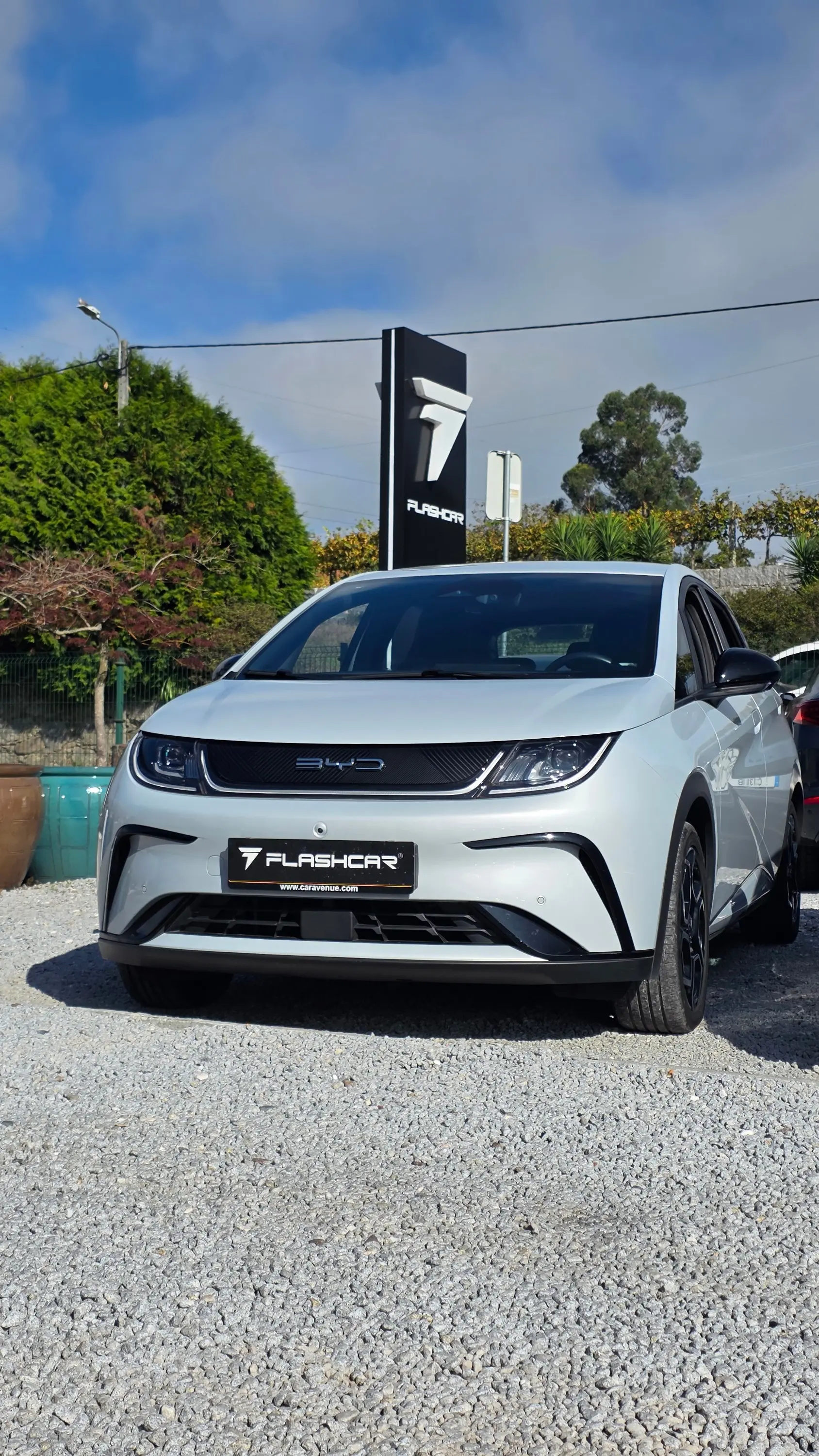 BYD Dolphin 60.4 kWh Comfort 1