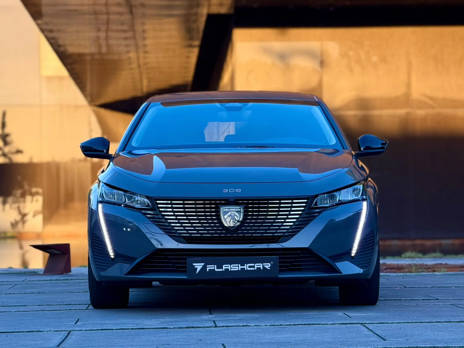 Peugeot 308 Allure Pack 39