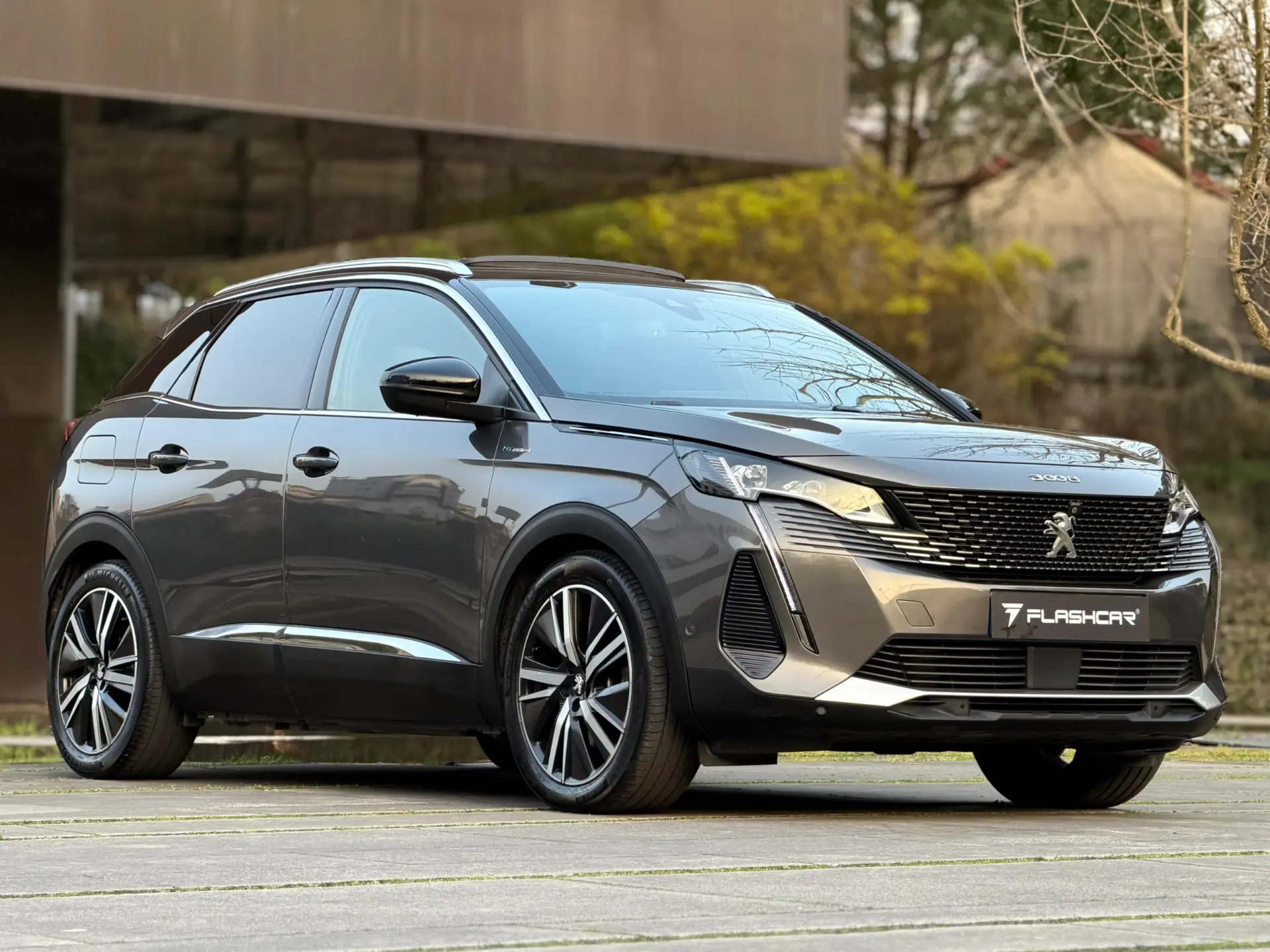 Peugeot 3008 1.6 Hybrid4 GT Line e-EAT8 30