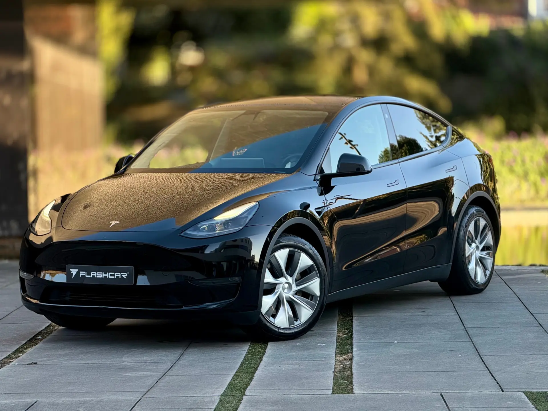 Tesla Model Y Long Range Dual Motor AWD 19