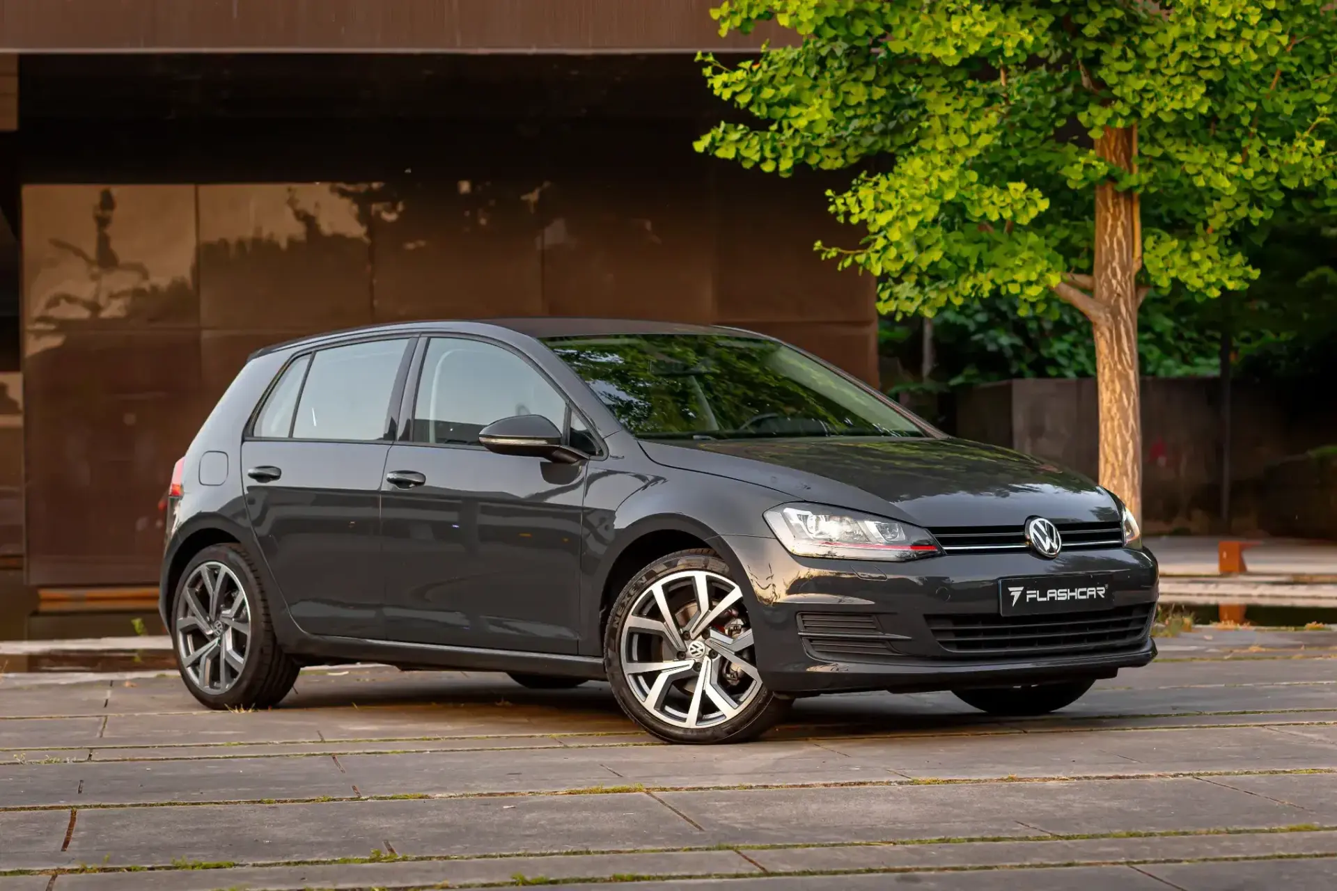 Volkswagen Golf 14