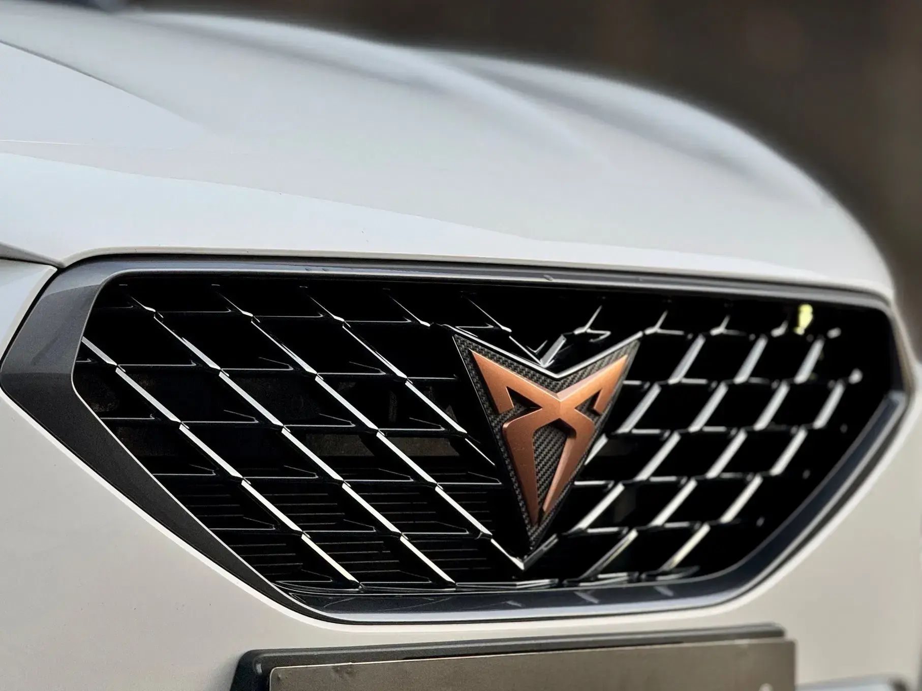 Cupra Formentor 43