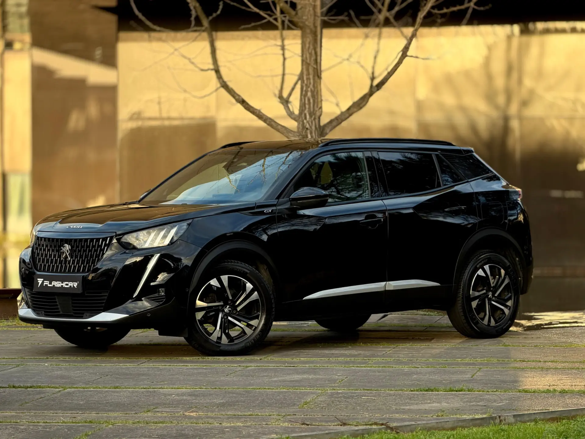 Peugeot 2008 1.2 PureTech GT EAT8 38