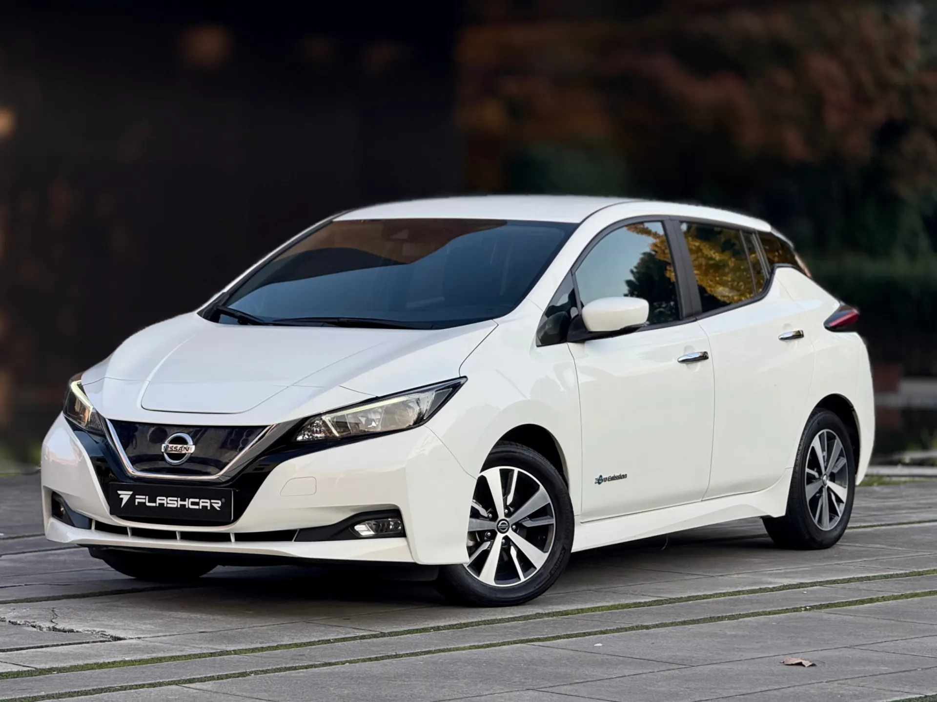 Nissan Leaf N-Connecta Full Led 17