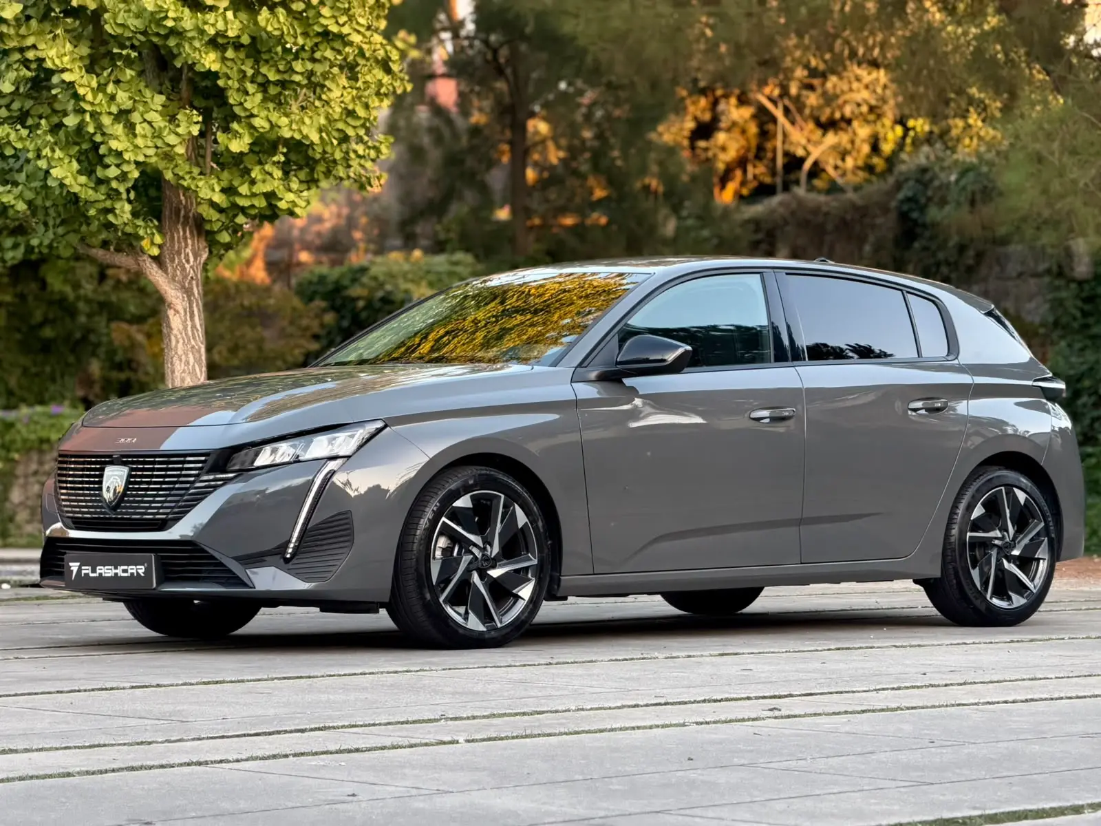 Peugeot 308 Allure Pack 6