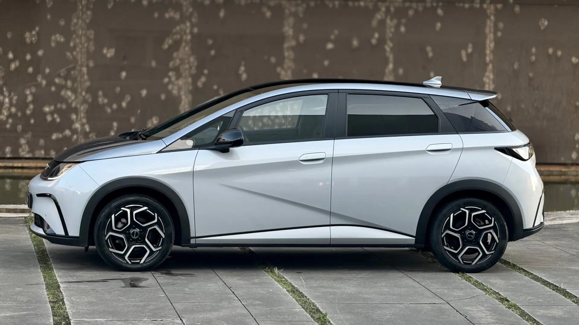 BYD Dolphin Design 6